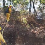 Controlan incendio en Sierra de Santa Rosa en un 65%