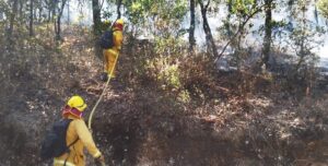 Controlan incendio en Sierra de Santa Rosa en un 65%
